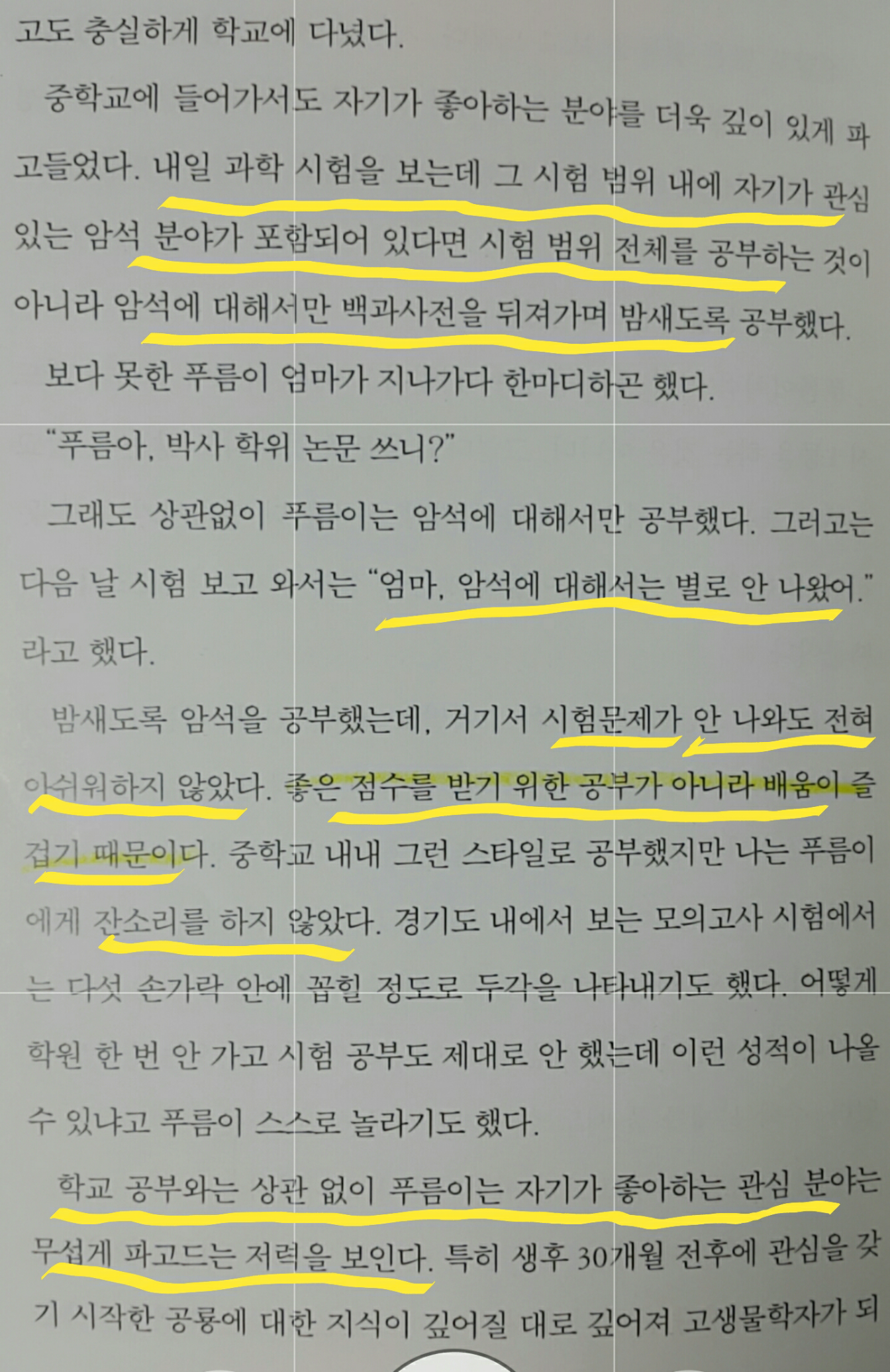 imageClip_1482499364541-2.png